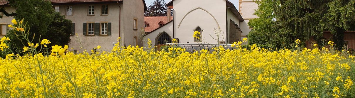 /media/images/kloster-wiese-min.2e16d0ba.fill-4000x1100.jpg