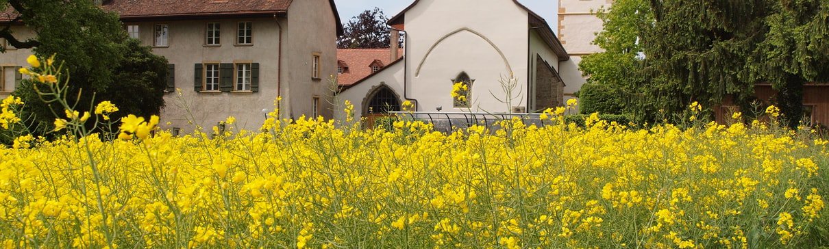 /media/images/kloster-wiese-min.2e16d0ba.fill-4000x1200.jpg