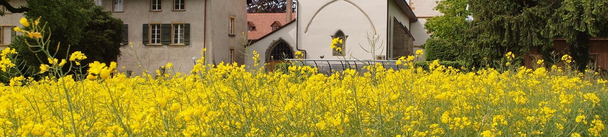 /media/images/kloster-wiese-min.2e16d0ba.fill-4000x900.jpg